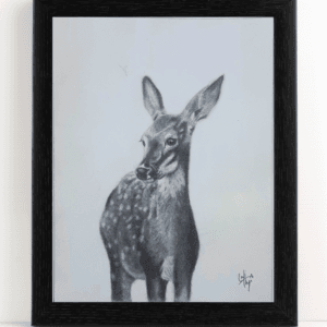 Handmade painting (Graphite Pencil Medium), Beautiful Deer, Size: 12x 8 Inch (A4 Size) with Frame