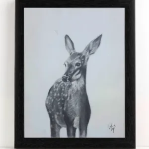 Handmade painting (Graphite Pencil Medium), Beautiful Deer, Size: 12x 8 Inch (A4 Size) with Frame